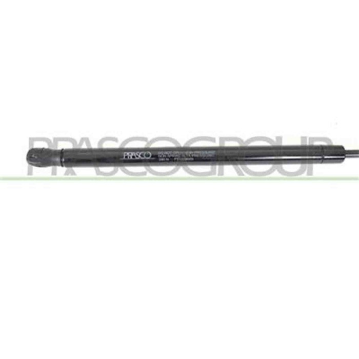 FT1229055_3.JPG Molla A Gas Destra O Sinistra Portellone Posteriore Per Fiat Panda Dal 2003 Al 2011