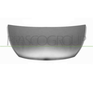 FT9003100_1.JPG Cofano Per Fiat Talento Dal 2016