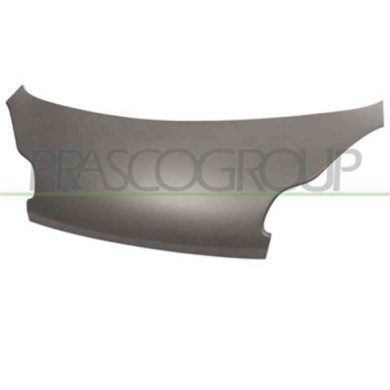 ME3053100_1.JPG Cofano Per Smart Fortwo Dal 2007 Al 2012