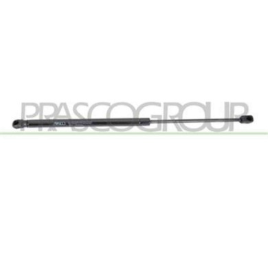 PG3209055_2.JPG Molla A Gas Destra O Sinistra Portellone Posteriore Per Peugeot 207 Dal 2006 Al 2009