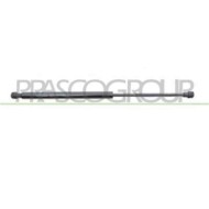 TY3259055_1.JPG Molla A Gas Destra O Sinistra Portellone Posteriore Per Toyota Yaris Dal 2006 Al 2009