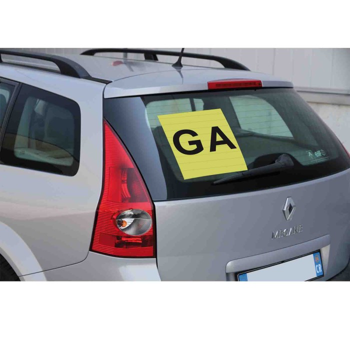 65360-S-01.JPG Contrassegno Ga (guida Accompagnata) Posteriore Contrassegni Targhe E Contrassegni