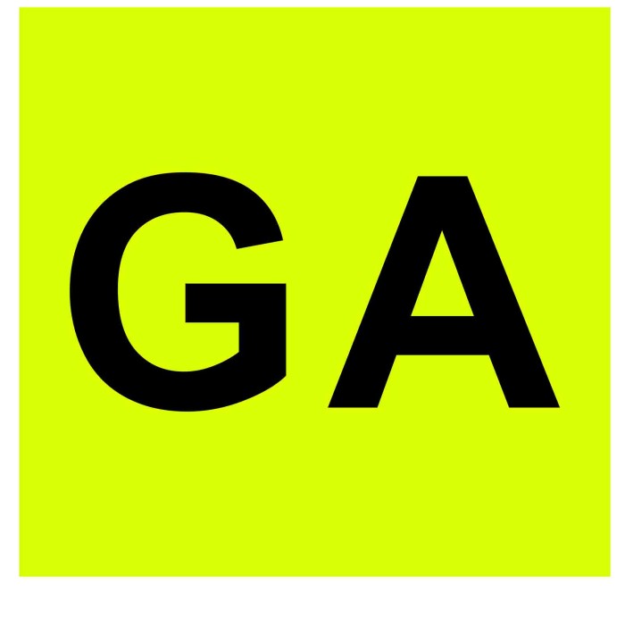 65360-D-01.JPG Contrassegno Ga (guida Accompagnata) Posteriore Contrassegni Targhe E Contrassegni