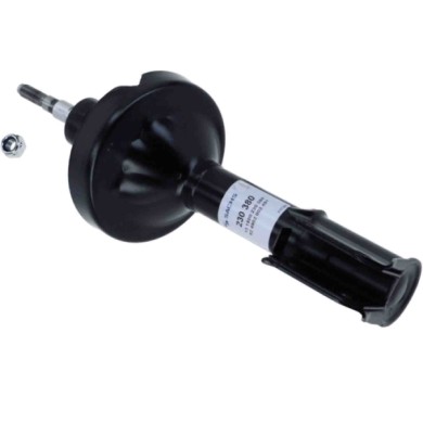 LIBRETTO_RICHIESTA_TARGA.JPG Ammortizzatore 230 380 SACHS per RENAULT NISSAN