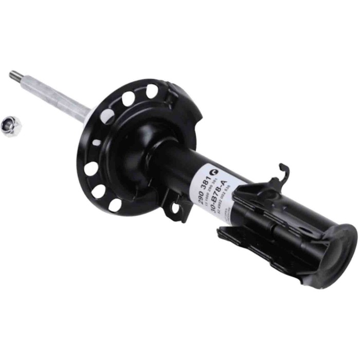 LIBRETTO_RICHIESTA_TARGA.JPG Ammortizzatore 290 381 SACHS per OPEL