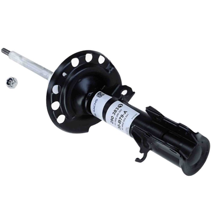 LIBRETTO_RICHIESTA_TARGA.JPG Ammortizzatore 290 383 SACHS per OPEL