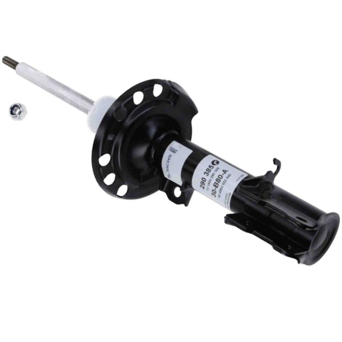 LIBRETTO_RICHIESTA_TARGA.JPG Ammortizzatore 290 385 SACHS per OPEL