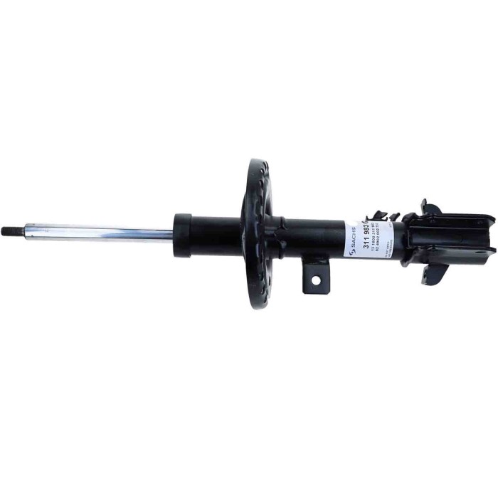 LIBRETTO_RICHIESTA_TARGA.JPG Ammortizzatore 311 983 SACHS per NISSAN