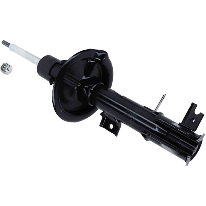 LIBRETTO_RICHIESTA_TARGA.JPG Ammortizzatore 312 820 SACHS per FIAT SUZUKI