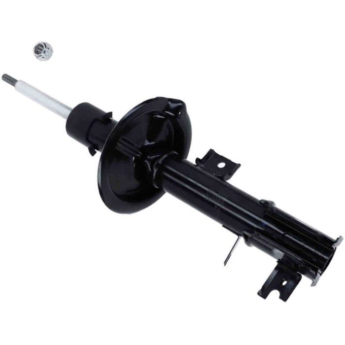 LIBRETTO_RICHIESTA_TARGA.JPG Ammortizzatore 312 821 SACHS per FIAT SUZUKI