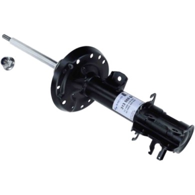 LIBRETTO_RICHIESTA_TARGA.JPG Ammortizzatore 313 566 SACHS per OPEL