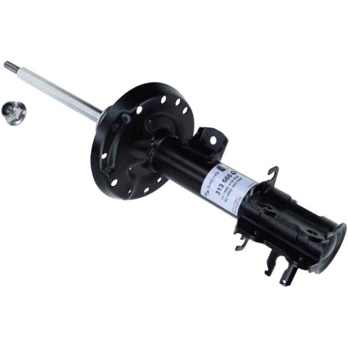 LIBRETTO_RICHIESTA_TARGA.JPG Ammortizzatore 313 566 SACHS per OPEL