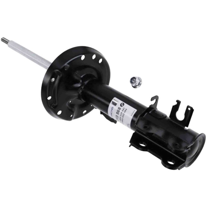 LIBRETTO_RICHIESTA_TARGA.JPG Ammortizzatore 313 568 SACHS per OPEL