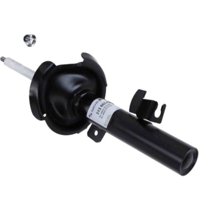 LIBRETTO_RICHIESTA_TARGA.JPG Ammortizzatore 313 665 SACHS per VOLVO