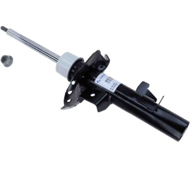 LIBRETTO_RICHIESTA_TARGA.JPG Ammortizzatore 313 759 SACHS per FORD