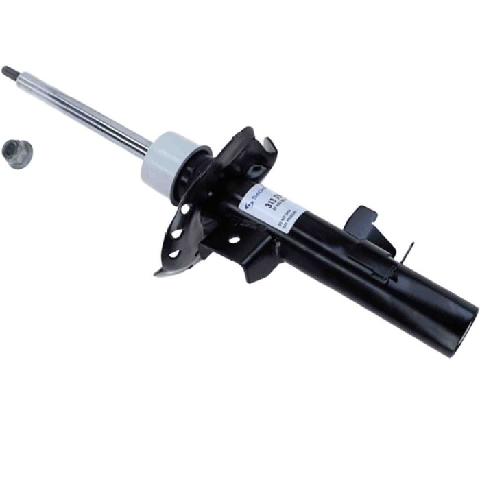 LIBRETTO_RICHIESTA_TARGA.JPG Ammortizzatore 313 759 SACHS per FORD