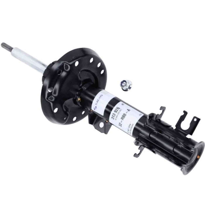 LIBRETTO_RICHIESTA_TARGA.JPG Ammortizzatore 313 926 SACHS per ALFA ROMEO