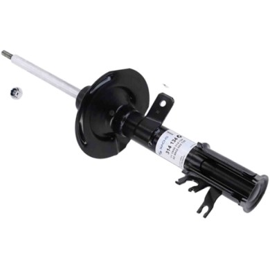 LIBRETTO_RICHIESTA_TARGA.JPG Ammortizzatore 314 134 SACHS per FIAT