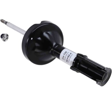 LIBRETTO_RICHIESTA_TARGA.JPG Ammortizzatore 314 739 SACHS per RENAULT