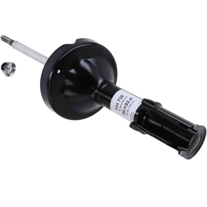 LIBRETTO_RICHIESTA_TARGA.JPG Ammortizzatore 314 739 SACHS per RENAULT