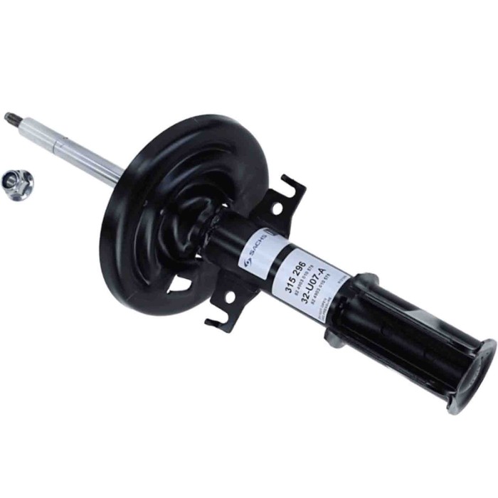 LIBRETTO_RICHIESTA_TARGA.JPG Ammortizzatore 315 296 SACHS per RENAULT