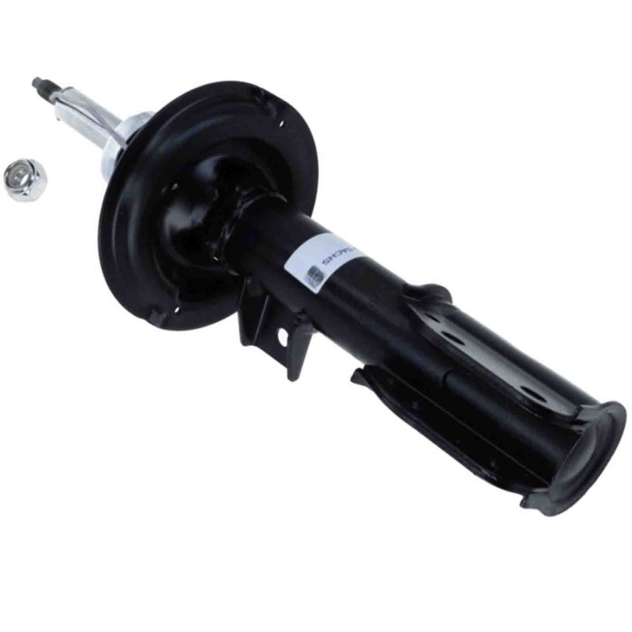 LIBRETTO_RICHIESTA_TARGA.JPG Ammortizzatore 316 762 SACHS per OPEL CHEVROLET