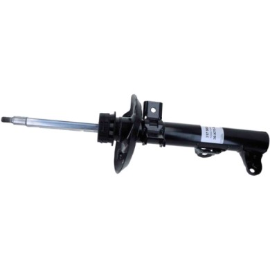 LIBRETTO_RICHIESTA_TARGA.JPG Ammortizzatore 317 560 SACHS per MERCEDES-BENZ