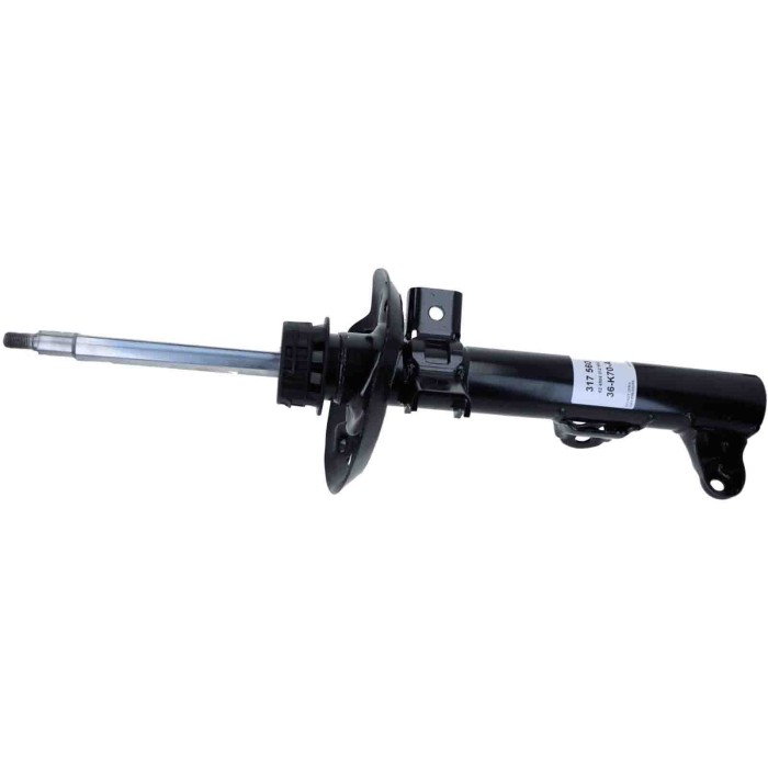 LIBRETTO_RICHIESTA_TARGA.JPG Ammortizzatore 317 560 SACHS per MERCEDES-BENZ