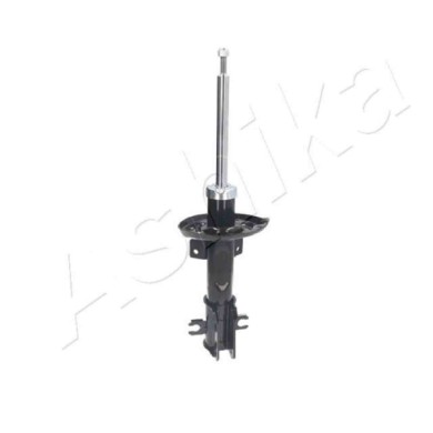 LIBRETTO_RICHIESTA_TARGA.JPG Ammortizzatore MA-00163 ASHIKA per FIAT