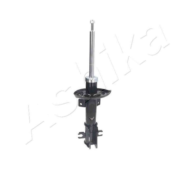 LIBRETTO_RICHIESTA_TARGA.JPG Ammortizzatore MA-00163 ASHIKA per FIAT