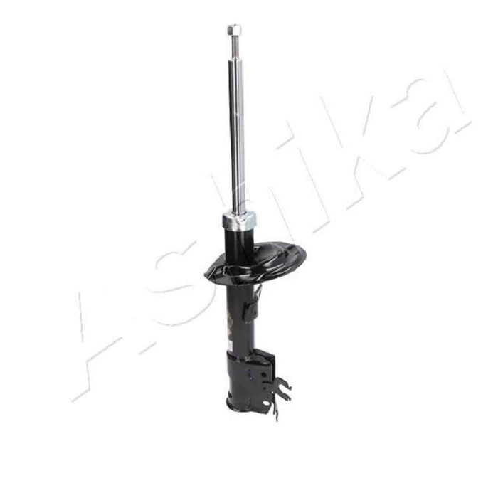 LIBRETTO_RICHIESTA_TARGA.JPG Ammortizzatore MA-00182 ASHIKA per FIAT