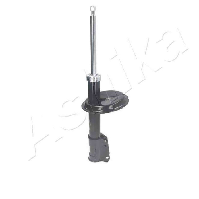 LIBRETTO_RICHIESTA_TARGA.JPG Ammortizzatore MA-00195 ASHIKA per FIAT LANCIA