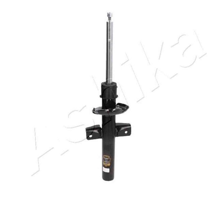 LIBRETTO_RICHIESTA_TARGA.JPG Ammortizzatore MA-00247 ASHIKA per FORD