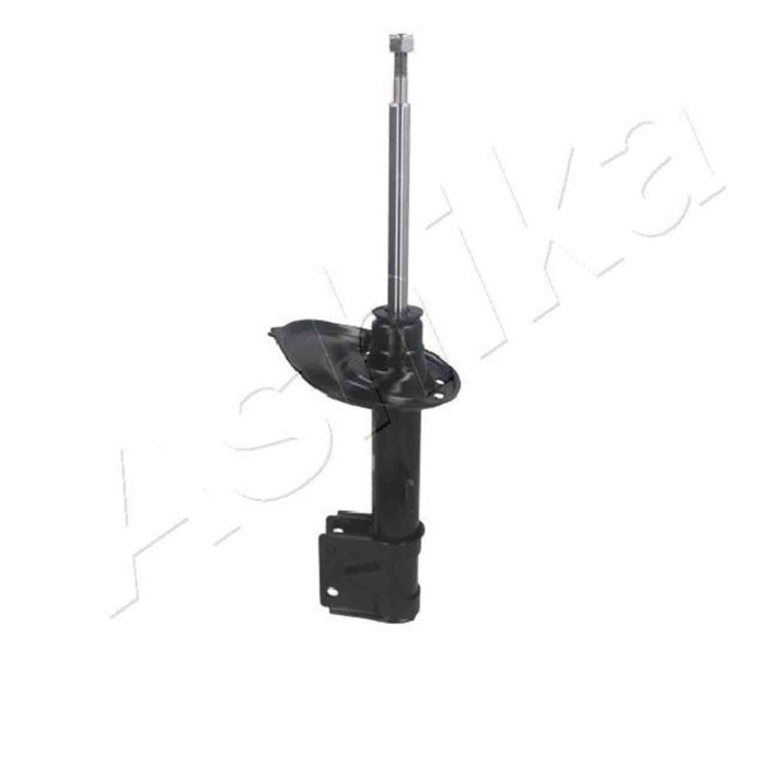 LIBRETTO_RICHIESTA_TARGA.JPG Ammortizzatore MA-00602 ASHIKA per PEUGEOT CITROEN