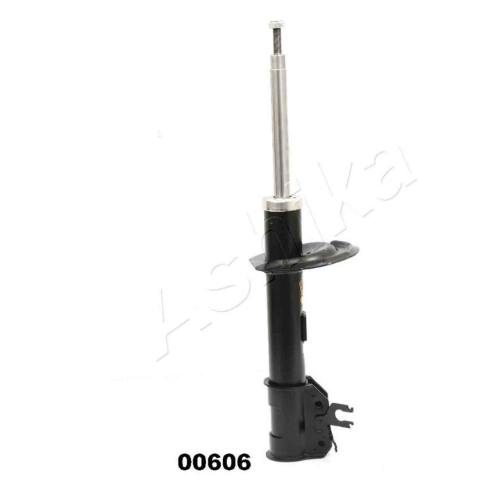 LIBRETTO_RICHIESTA_TARGA.JPG Ammortizzatore MA-00606 ASHIKA per FIAT