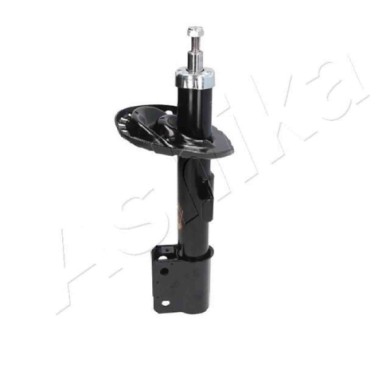 LIBRETTO_RICHIESTA_TARGA.JPG Ammortizzatore MA-00672 ASHIKA per RENAULT