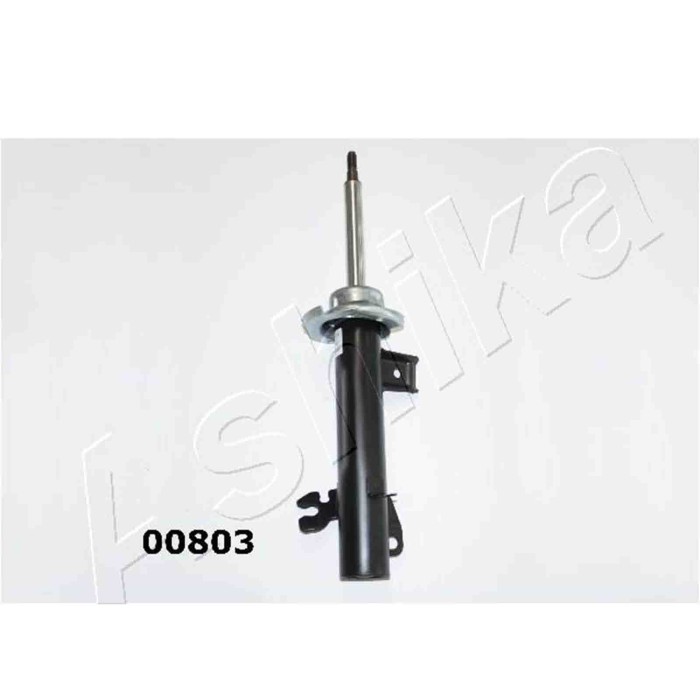 LIBRETTO_RICHIESTA_TARGA.JPG Ammortizzatore MA-00803 ASHIKA per MINI