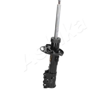 LIBRETTO_RICHIESTA_TARGA.JPG Ammortizzatore MA-01082 ASHIKA per FORD