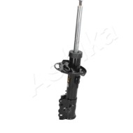 LIBRETTO_RICHIESTA_TARGA.JPG Ammortizzatore MA-01082 ASHIKA per FORD