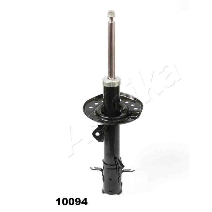 LIBRETTO_RICHIESTA_TARGA.JPG Ammortizzatore MA-10094 ASHIKA per NISSAN