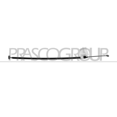 NEUTRO.jpg Cavo Maniglia Per Smart City Coupe' Dal 1998 Al 2002