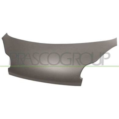NEUTRO.jpg Cofano Per Smart Fortwo Dal 2007 Al 2012