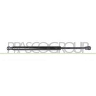 BM0249055_1.JPG Molla A Gas Destra O Sinistra Portellone Posteriore Per Bmw 3 Series - E90/e91 Dal 2005 Al 2009