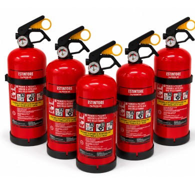 EST_2_KG_1_PZ_3.jpg Estintore 2 Kg Categoria Abc Omologato Con Supporto Da Parete Kit 5 Pezzi