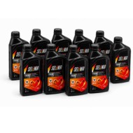 Olio Motore Selenia Eco-2 0w20 Auto Sportive E Di Lusso Euro 6 Litri 10
