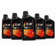 Olio Motore Selenia Eco-2 0w20 Auto Sportive E Di Lusso Euro 6 Litri 5
