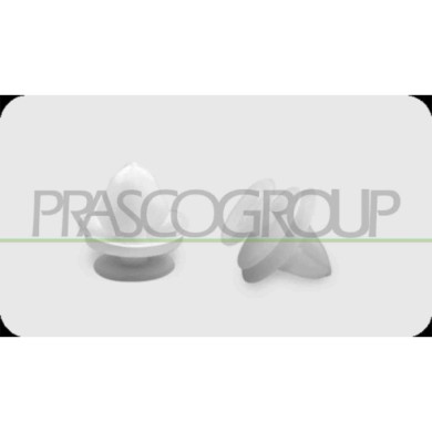 NEUTRO.jpg Clips Fissaggio Pannelli (19 Pezzi) Compatibile Per AUDI A4 (B6) Dal 10/2000 Al 09/2004 Codice Originale 6991S6