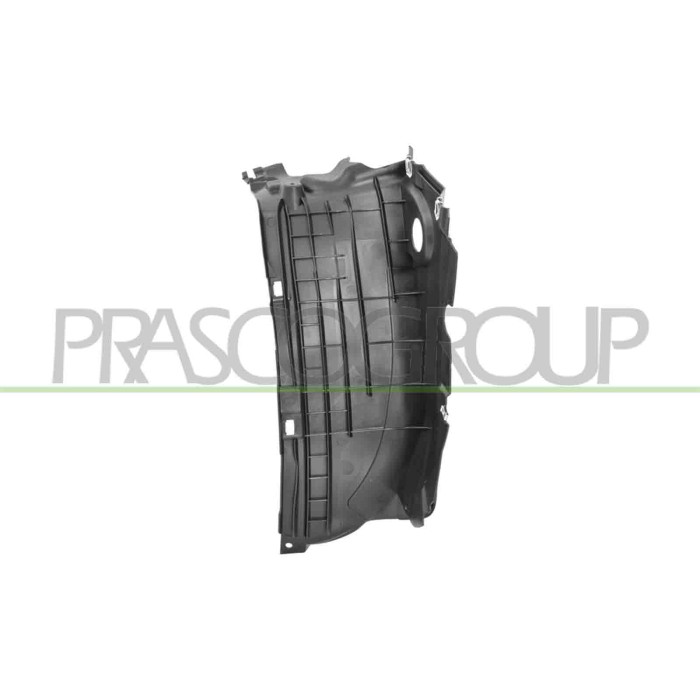 DX_SCRITTA_LOGO.jpg Passaruota Anteriore Destro Parte Anteriore Stampaggio Ad Iniezione AUDI Q5 (80A) Dal 02/2017 Al 08/2020 80A