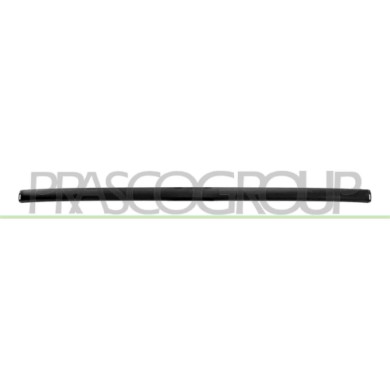NEUTRO.jpg Modanatura Paraurti Posteriore Centrale Con Primer Compatibile Per BMW 3 SERIES E46 Dal 09/2001 Al 02/2005 5112703060