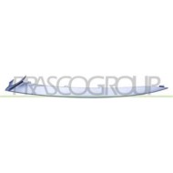 SX_SCRITTA_LOGO.jpg Modanatura Sinistra Griglia Paraurti Anteriore Argento BMW 5 SERIES F10/F11 LCI Dal 07/2013 Al 08/2016 51117